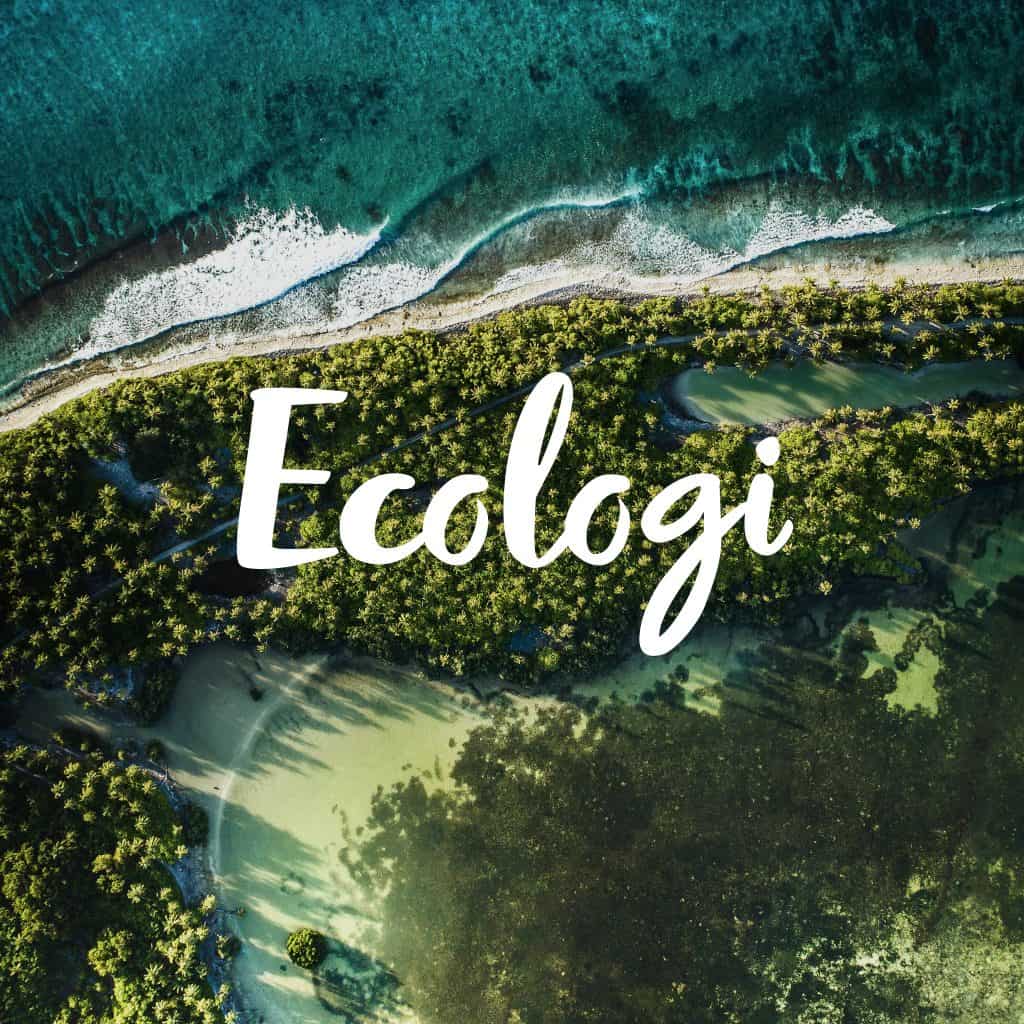 Ecologi Brand 1x1 09