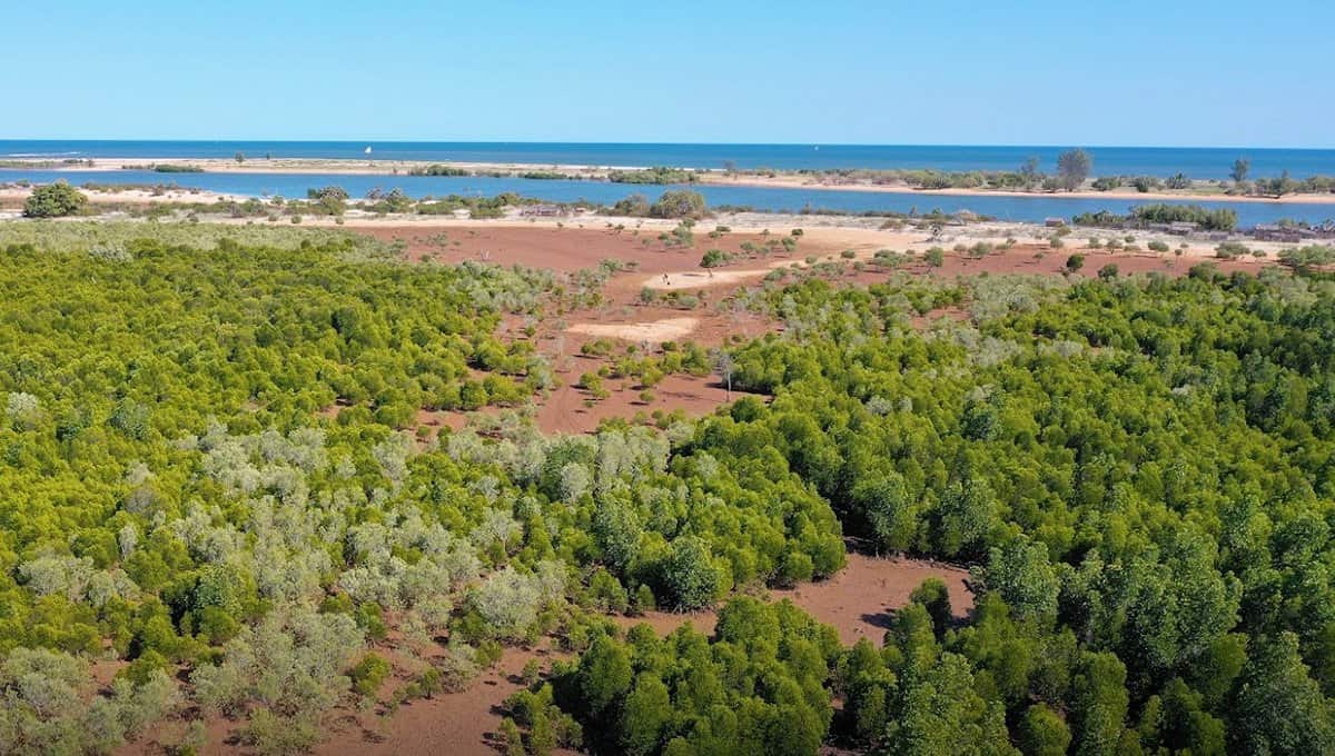 Eden 1200x800 Madagascar Marataola 10